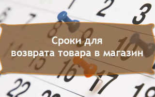 Картинка В течении какого времени можно вернуть товар